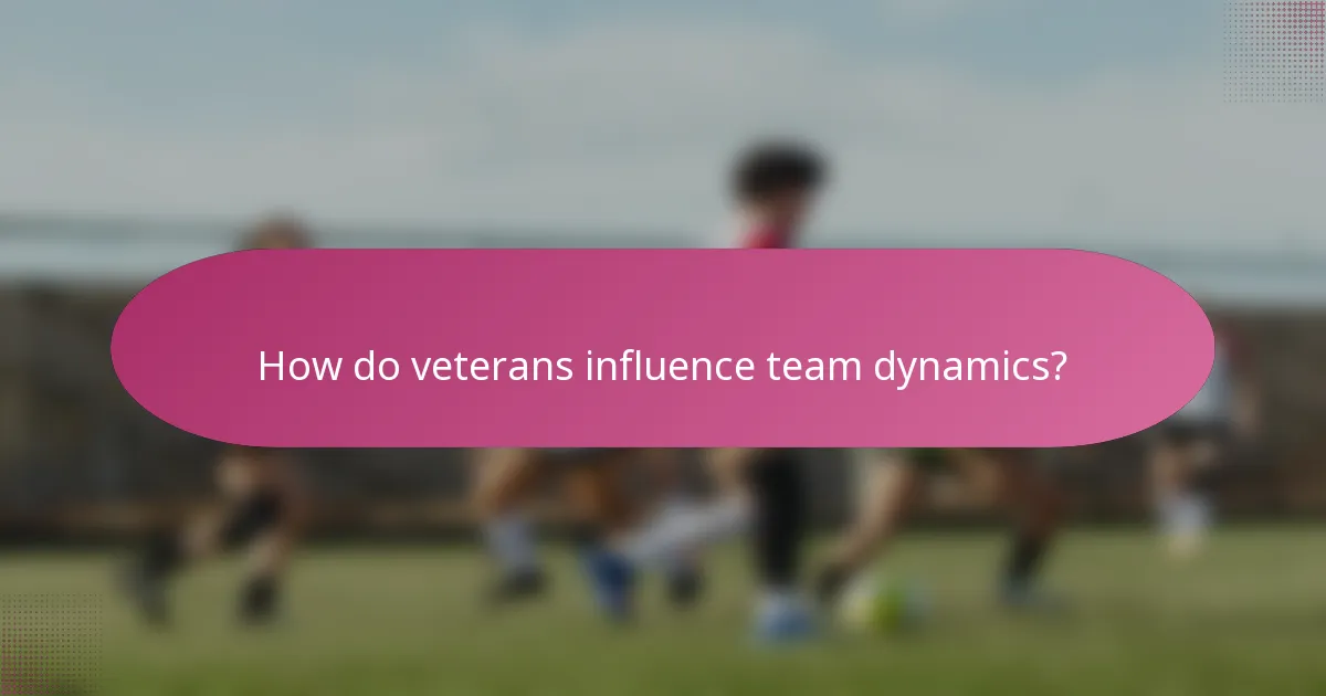 How do veterans influence team dynamics?